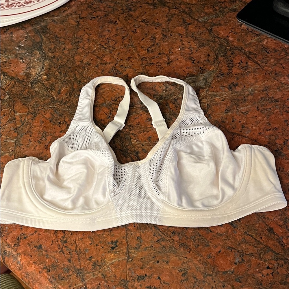 Champion Jog Performance Sports Bra 36B